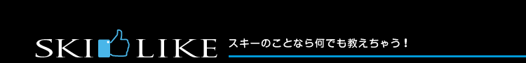 スキーライク